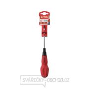 Šroubovák křížový PZ, PZ 1x100mm Náhled