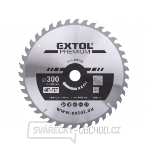 Kotouč pilový s SK plátky 300x2,2x30mm, 40T Kotouč pilový s SK plátky 300x2,2x30mm, 40T gallery main image