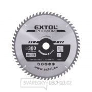 Kotouč pilový s SK plátky 300x2,2x30mm, 60T gallery main image