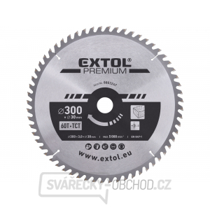 Kotouč pilový s SK plátky 300x2,2x30mm, 60T Kotouč pilový s SK plátky 300x2,2x30mm, 60T gallery main image