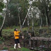 Teleskopická pila Hayauchi 4900-6.5  Náhled