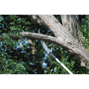 Teleskopická pila Hayauchi 4900-6.5  náhled