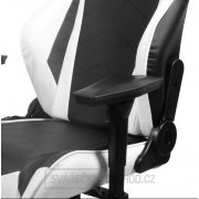 Židle DXRACER OH/RF0/NW náhled