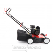Benzinový provzdušňovač s košem VeGA GT 5654    Benzinový provzdušňovač s košem VeGA GT 5654    náhled