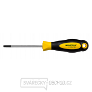 Šroubovák TORX TX 8 4x60mm zelený gallery main image