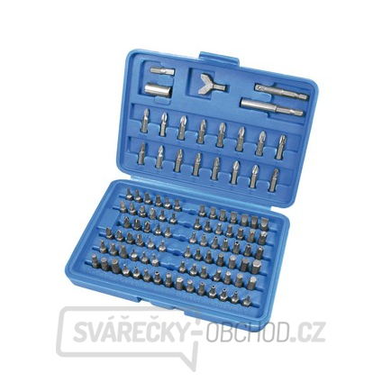 Sada bitů 1/4" s magnetickým nástavcem - 100ks