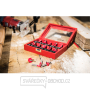 Frézy tvarové do dřeva s SK plátky, sada 10ks náhled