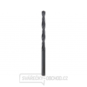 Vrták do kovu HSS, ∅ 4,5 L=80 L1=47, HSS - 10ks Vrták do kovu HSS, ∅ 4,5 L=80 L1=47, HSS - 10ks gallery main image