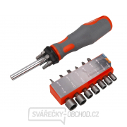 Šroubovák s hroty, CrV - 20ks  Šroubovák s hroty, CrV - 20ks  gallery main image