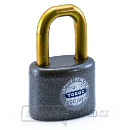 Visací zámek 113/50 RECORD TOKOZ