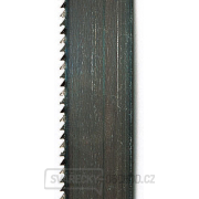Pilový pás 6/0,36/1490mm, 6 z/´´, použití dřevo, plasty pro Basato/Basa 1 Náhled