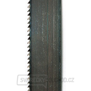 Pilový pás 6/0,36/1490mm, 6 z/´´, použití dřevo, plasty pro Basato/Basa 1 gallery main image