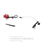 VeGA Benzínový vyžínač VE24250 VeGA Benzínový vyžínač VE24250 náhled