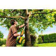 RAPS 2040 - prořezávací pila s aku motorem 40 V Náhled