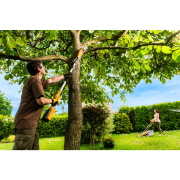 RAPS 2040 - prořezávací pila s aku motorem 40 V Náhled