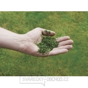 Sekačka Benzínová GC-PM 46/2 Einhell Classic náhled