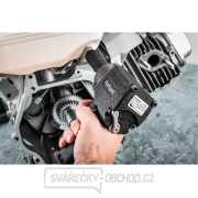 Utahovák rázový, 1/2