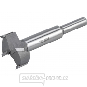 Fréza čelní-sukovník do dřeva s SK plátky, průměr 30mm, stopka 8mm Fréza čelní-sukovník do dřeva s SK plátky, průměr 30mm, stopka 8mm gallery main image