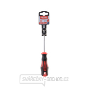 Šroubovák plochý, (-) 5,5x100mm, CrV Náhled