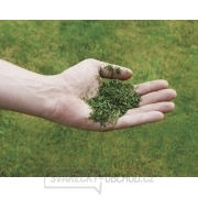 Sekačka benzínová GC-PM 51/2 Einhell Classic náhled