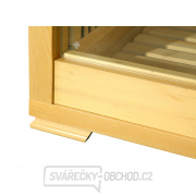 Infrasauna Economical 2001 Carbon náhled