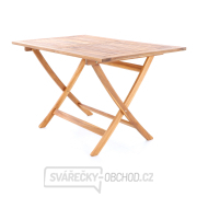 PRINCE VeGA 4 náhled