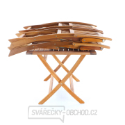 PRINCE VeGA 4 náhled