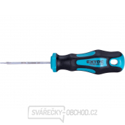 Šroubovák TORX, T6x60mm, CrV gallery main image