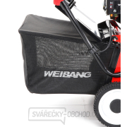 Vertikutátor WEIBANG WB 384 RC náhled