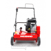 Vertikutátor WEIBANG WB 486 CR-B náhled