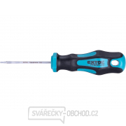 Šroubovák TORX, T8x60mm, CrV gallery main image