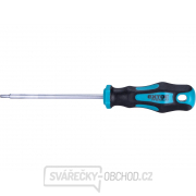 Šroubovák TORX, TTa15x100mm, CrV Šroubovák TORX, TTa15x100mm, CrV gallery main image