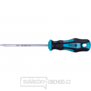 Šroubovák TORX, TTa20x100mm, CrV gallery main image