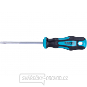 Šroubovák TORX, TTa25x100mm, CrV Šroubovák TORX, TTa25x100mm, CrV gallery main image