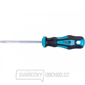 Šroubovák TORX, TTa25x100mm, CrV