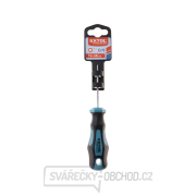 Šroubovák TORX, TTa30x100mm, CrV Náhled