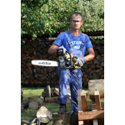 Motorová pila Riwall PRO RPCS 6250  náhled