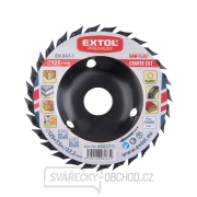 Kotouč rašplový/pilový na dřevo, 125x3x22,2mm, hrubý sek Náhled