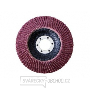 kotouč lamelový 125mm AO, zr.100 - ocel gallery main image