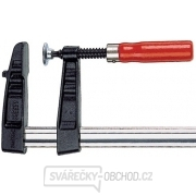 Šroubová svěrka Bessey TG10 - 100x50mm Šroubová svěrka Bessey TG10 - 100x50mm gallery main image