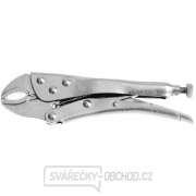 Kleště rychloupínací 250 mm gallery main image