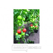 Tyč k rajčatům spirálová 1.5m, 6mm pozink (sada 6 kusů) gallery main image