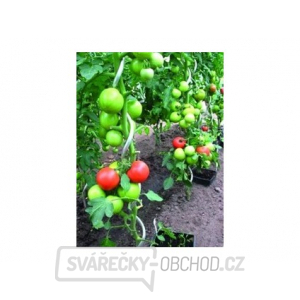 Tyč k rajčatům spirálová 1.5m, 6mm pozink (sada 6 kusů)