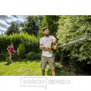 Riwall PRO RAHT 5220 set plotostřih s aku motorem + 2Ah baterie + nabíječka 20 V náhled