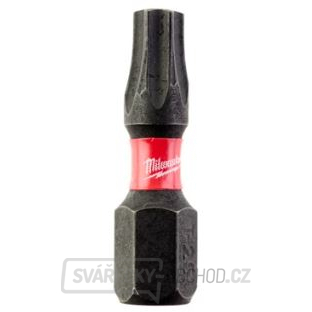 Milwaukee šroubovací bity SHW TX25 25mm - 2ks