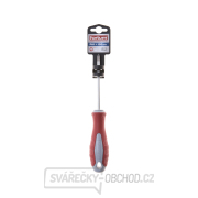 Šroubovák křížový, PH 1x100mm, S2 Náhled