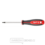 Milwaukee TRI-LOBE Šroubovák T20x100- 1ks gallery main image