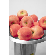 Elektrický drtič ovoce GOH 1500 náhled