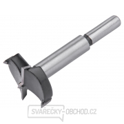 Fréza čelní-sukovník, do dřeva s SK plátky, O 35mm Fréza čelní-sukovník, do dřeva s SK plátky, O 35mm gallery main image