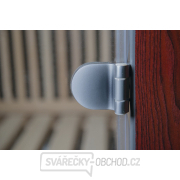 Infrasauna DeLuxe 2223 Carbon BT náhled